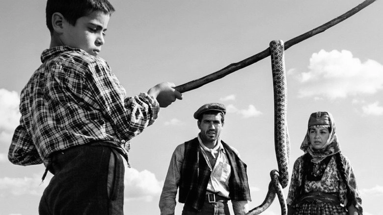 Revenge Of The Snakes (1962)