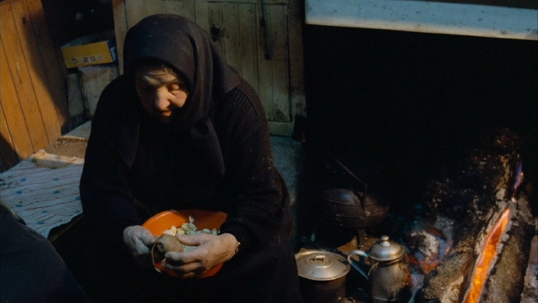 Bico (2004)