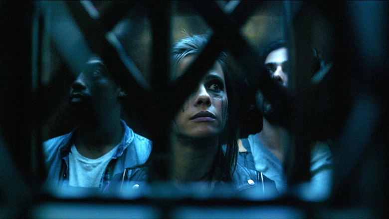 702 (2016)
