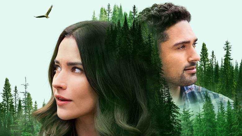 Journey Of My Heart (2021)