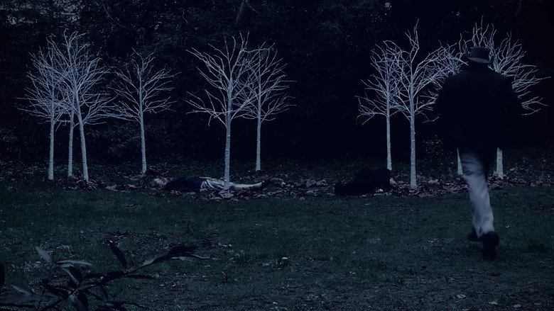 Queen Of Hearts: A Twin Peaks Fan Film (2022)