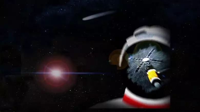 Searching For Skylab (2019)