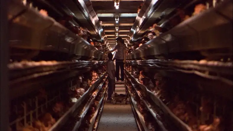 Our Daily Bread (2006)