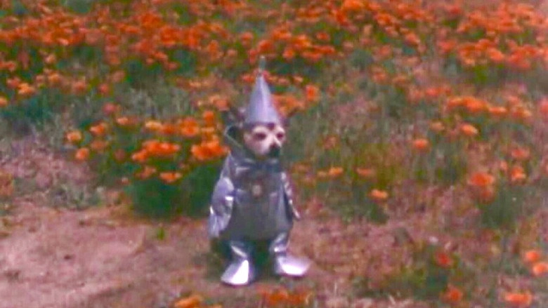 Tinwoodsman's Home Movie #2 (2008)
