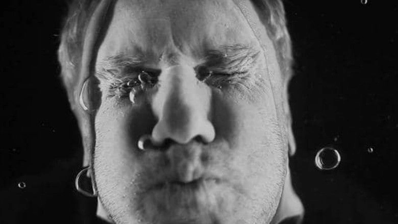 The Force That Through the Green Fire Fuels the Flower (2011)