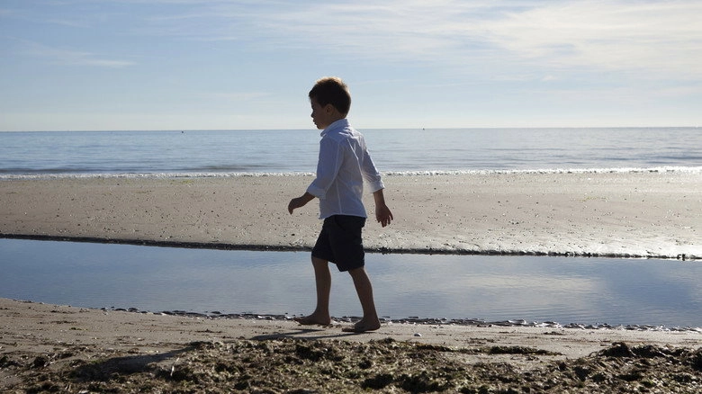 Land Of Saints (2015)