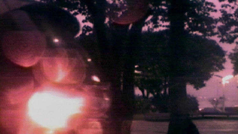 Travelling (2005)
