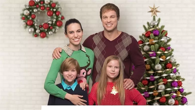 Meet The Andersons (2016)