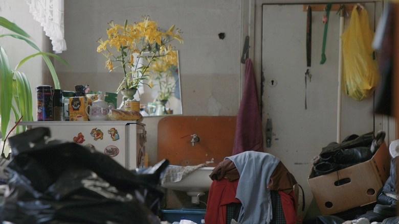 Palidzibas Piemineklis (2024)