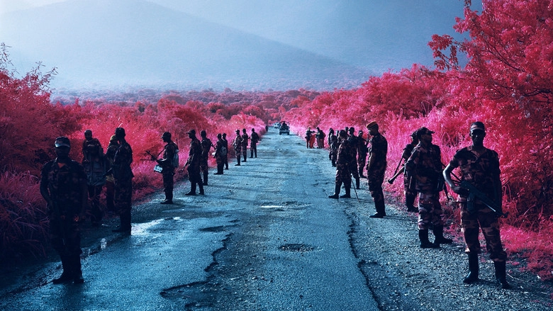 The Enclave (2013)