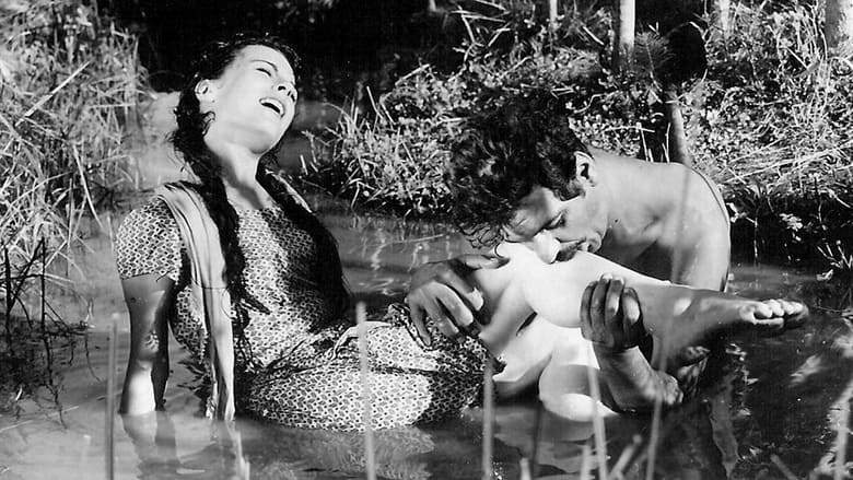 Dry Summer (1963)