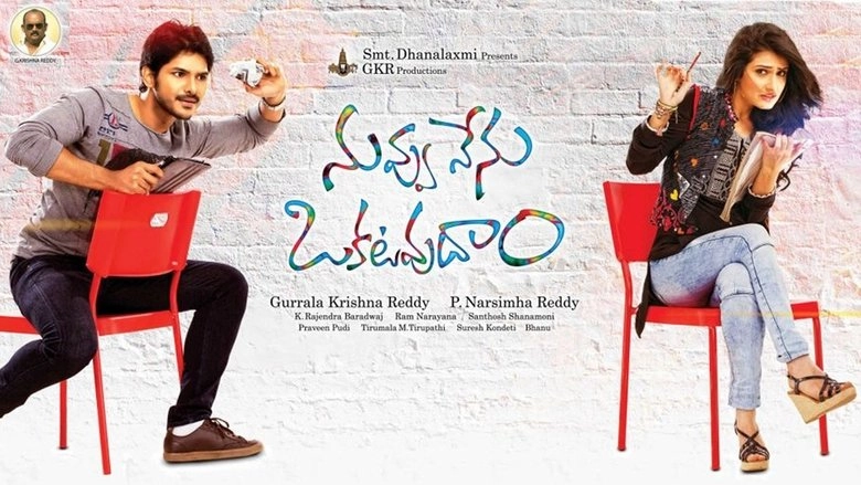 Nuvvu Nenu Okatavudaam (2014)