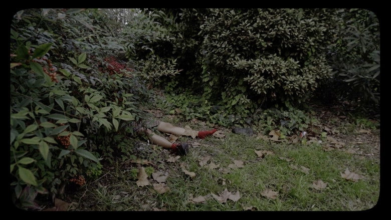 Bodies Of Mary (2025)