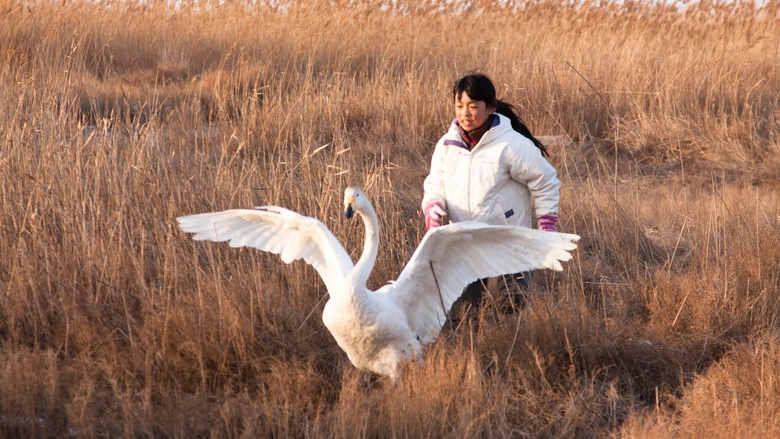 I Swan (2012)