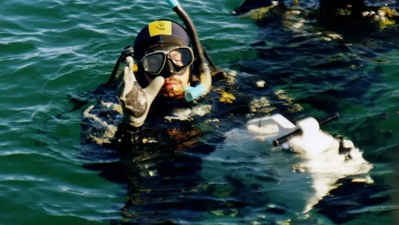 The Bottom Of The Sea (2003)
