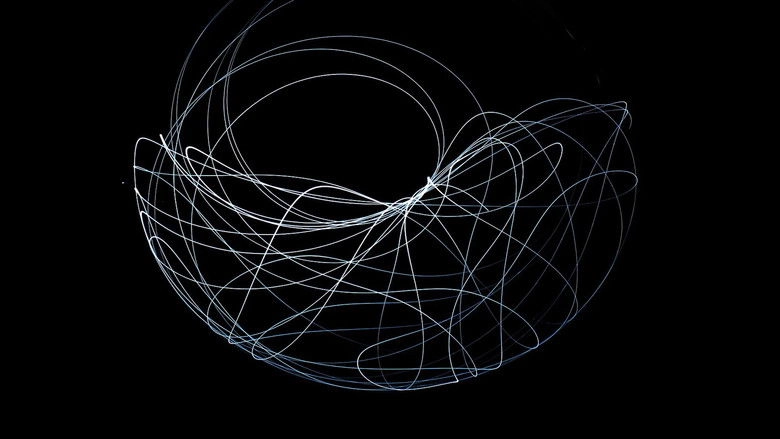 The Secret Life Of Chaos (2010)