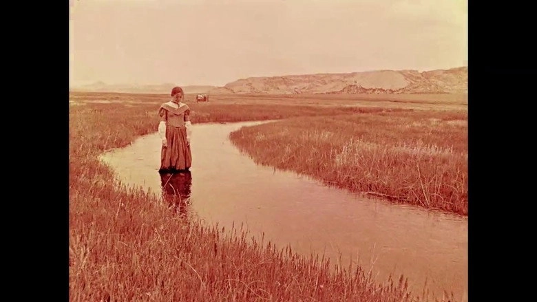 These Ways I Transgress (2018)