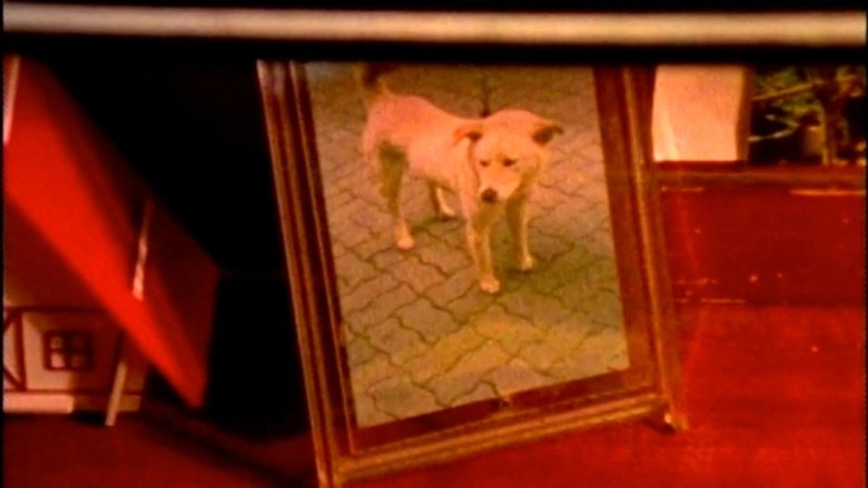Memories In My Frame (1994)