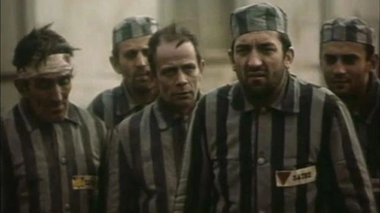 Manifest Za Slobodu (1974)