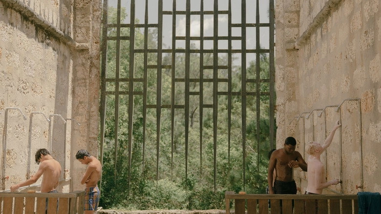 Tiguere (2024)