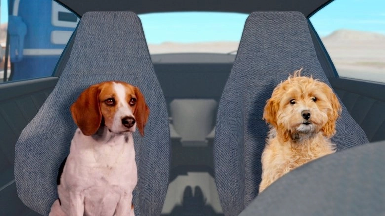 Fast And Furriest (2017)