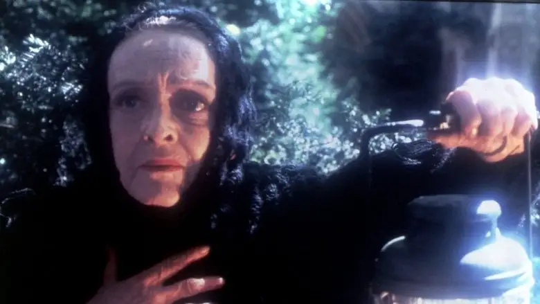 The Watcher In The Woods (1980)