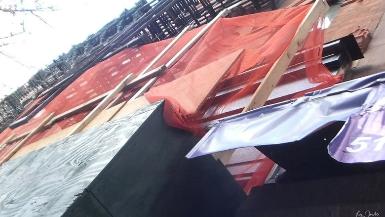 Natural Collage (2020)