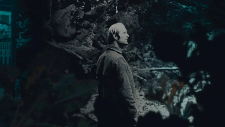 November (2026)