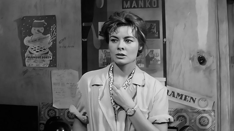 90 Degrees In The Shade (1965)