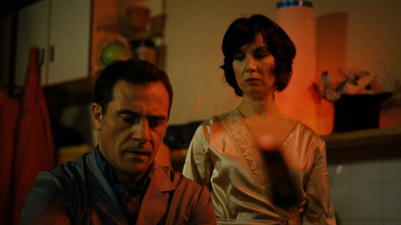 Forget Everything I've Told You (2002)