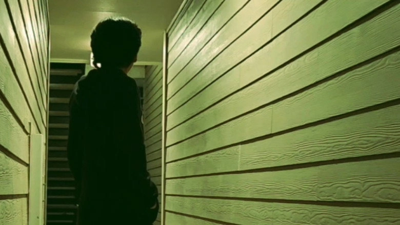 Midnight Walk (2025)