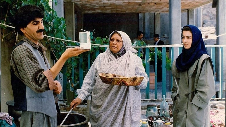 The Shadow Of Imagination (1991)