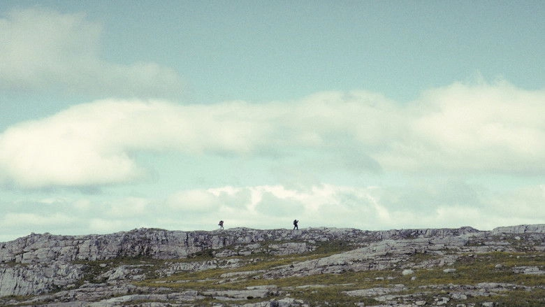 The North (2025)
