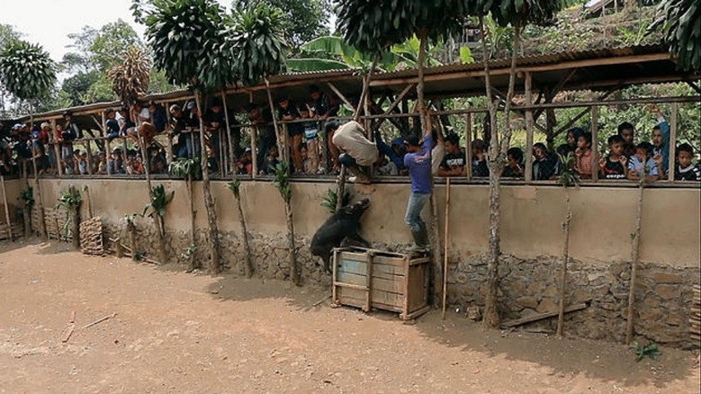 Sihung (2016)