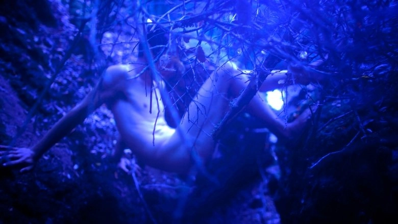 Brookton Hollow (2010)