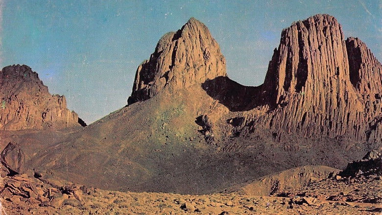 Salt And Rock (1996)