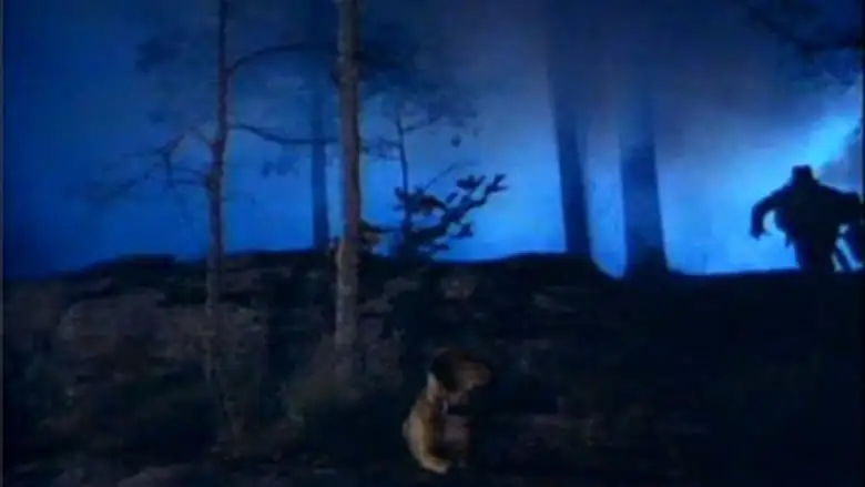 The Legend Of Hillbilly John (1974)