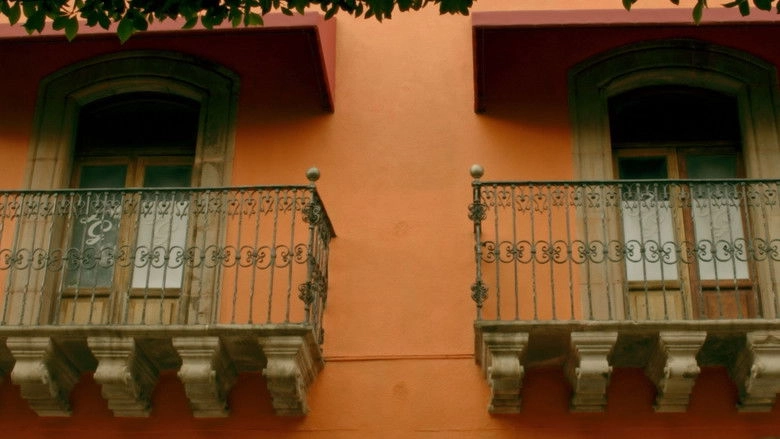 What About The Other One? (2026)