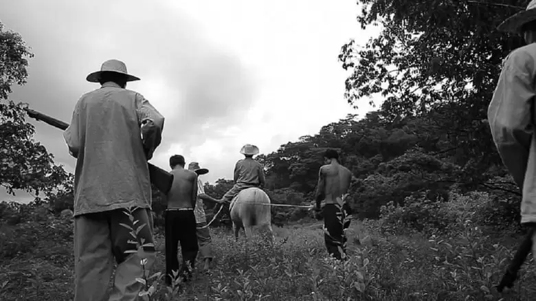 Prologue To The Great Desaparecido (2013)