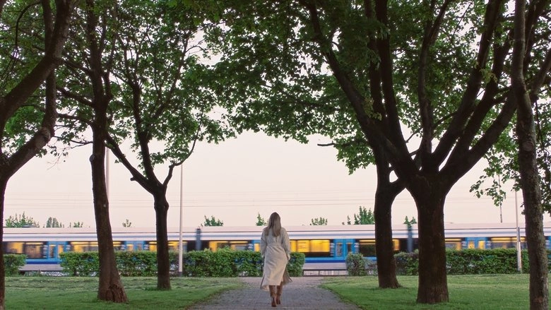 Hallway To Nowhere (2025)