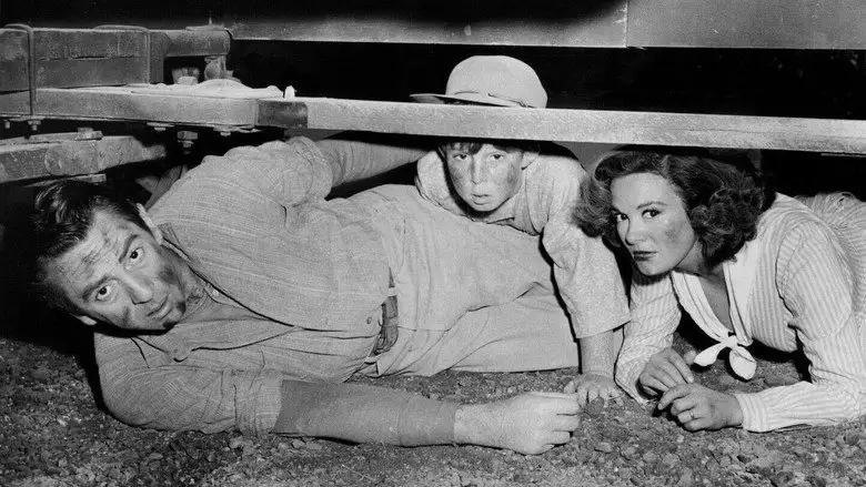 Stranger At My Door (1956)
