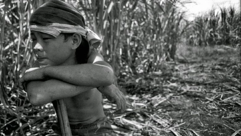 Children Only Once (1996)