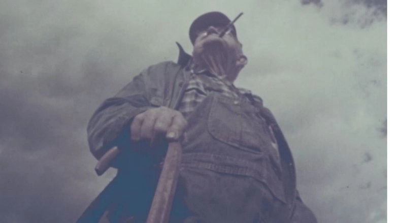 Harvest (1967)