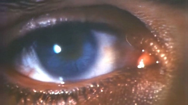 Faces Of Death III (1985)