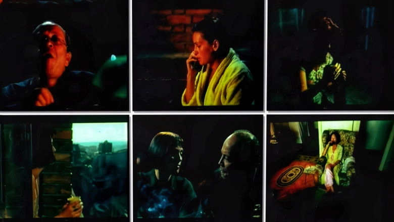 Denize Hancer Dustu (1992)