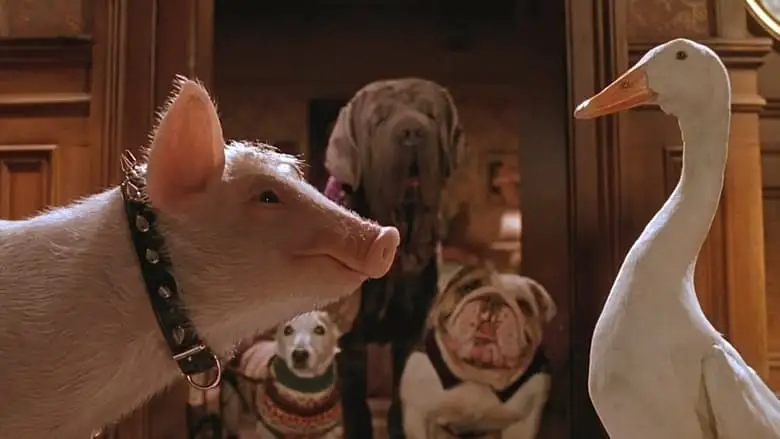 Babe: Pig In The City (1998)
