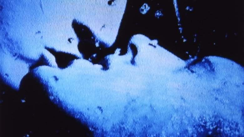 Self-Portrait In 23 Rounds: A Chapter In David Wojnarowicz's Life, 1989-1991 (2019)