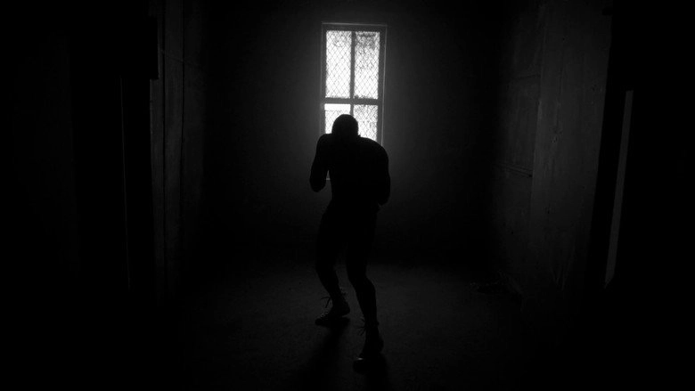 Adnis (2017)