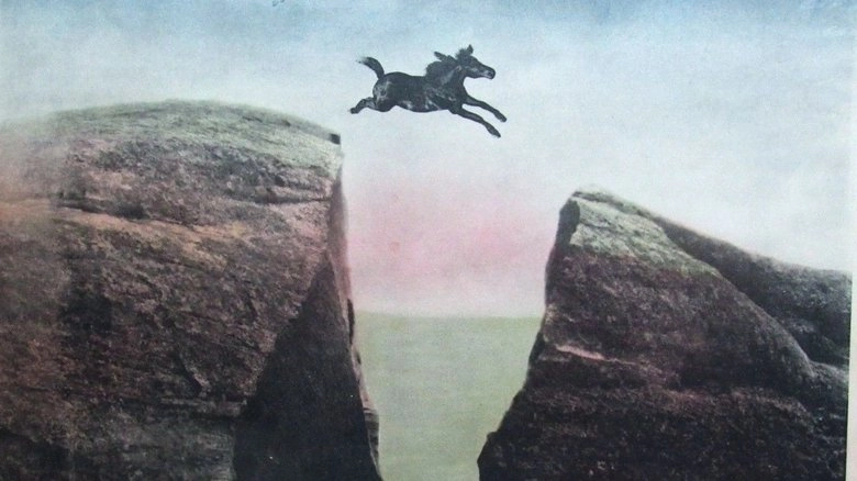 The King Of Wild Horses (1924)