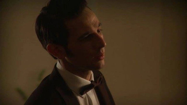 La Fiesta De Casamiento (2011)